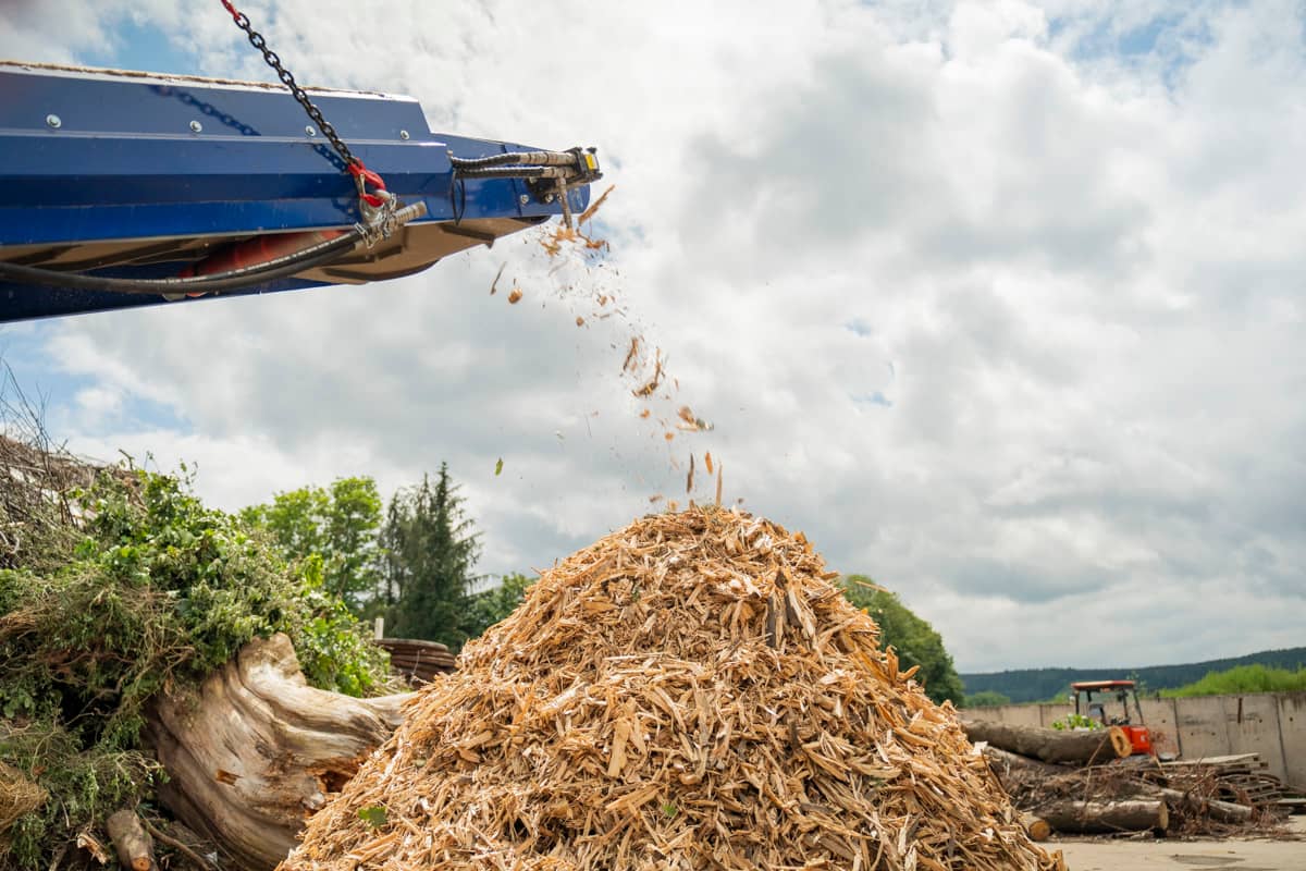 WASTE-TO-ENERGY CATALYST